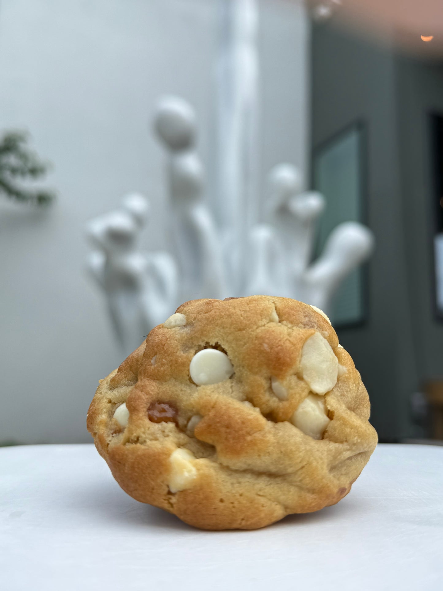 White Chocolate Macadamia