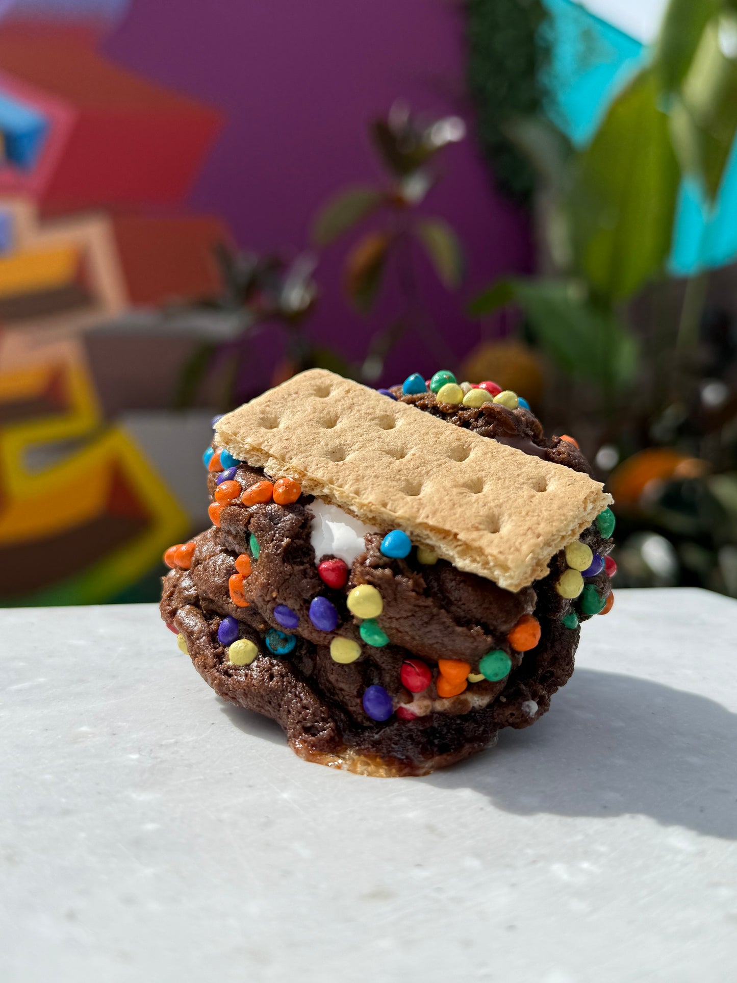 Galactic S'mores Brownie
