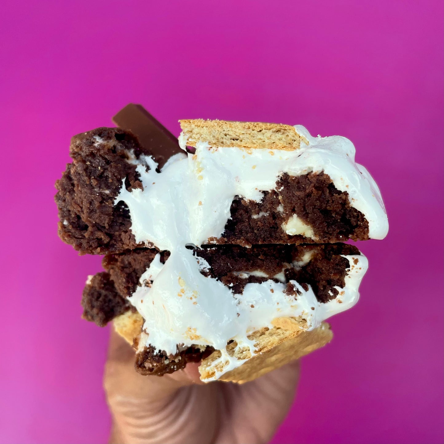 Ooey Gooey S'Mores