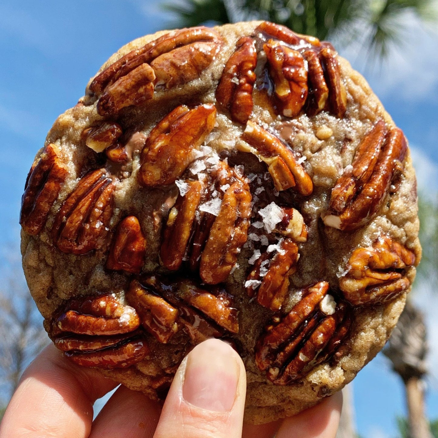 Honey Gurl Pecan Salt Cinnamon Phat Ash Bakes