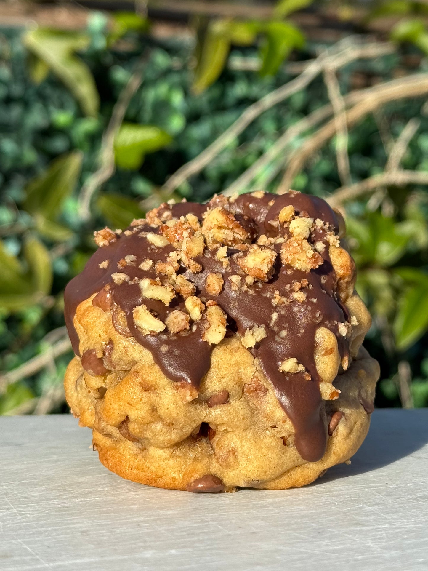 Chocolate & Cookie Butter Praline