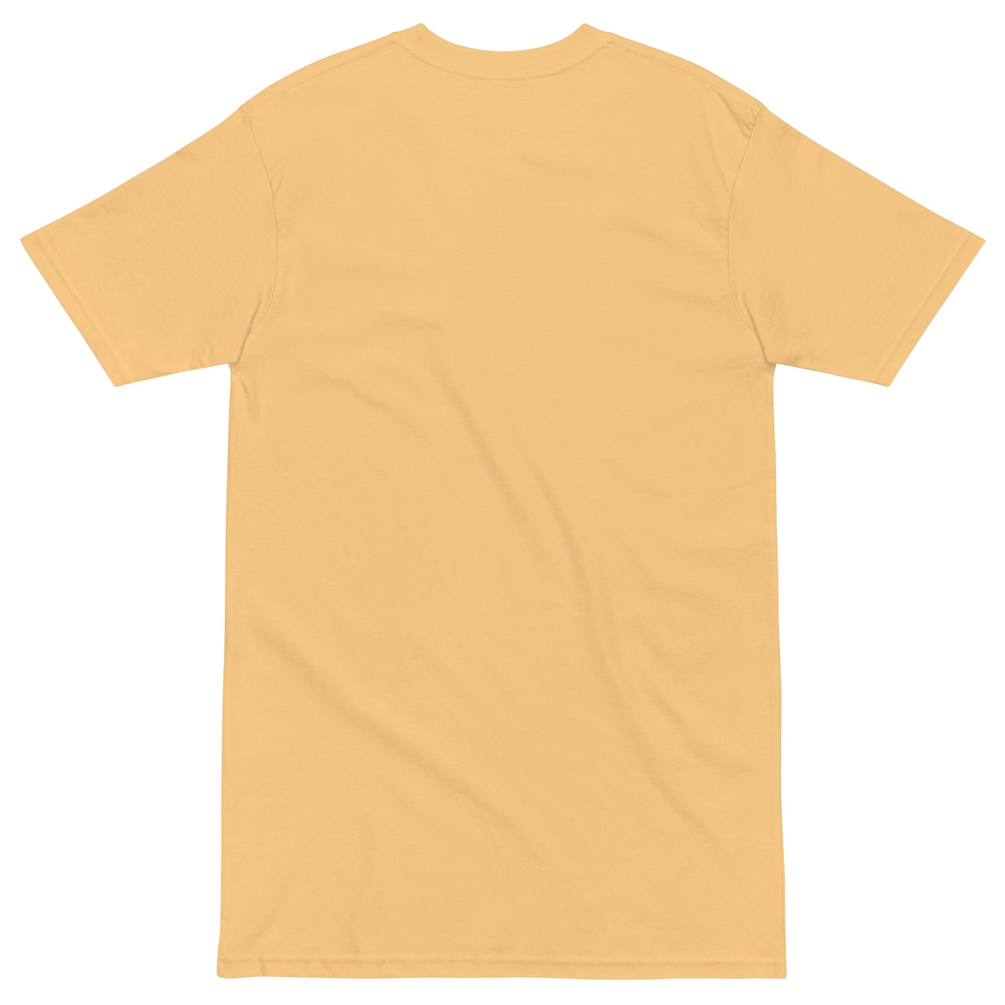 LOVE SHINES Men’s premium heavyweight tee