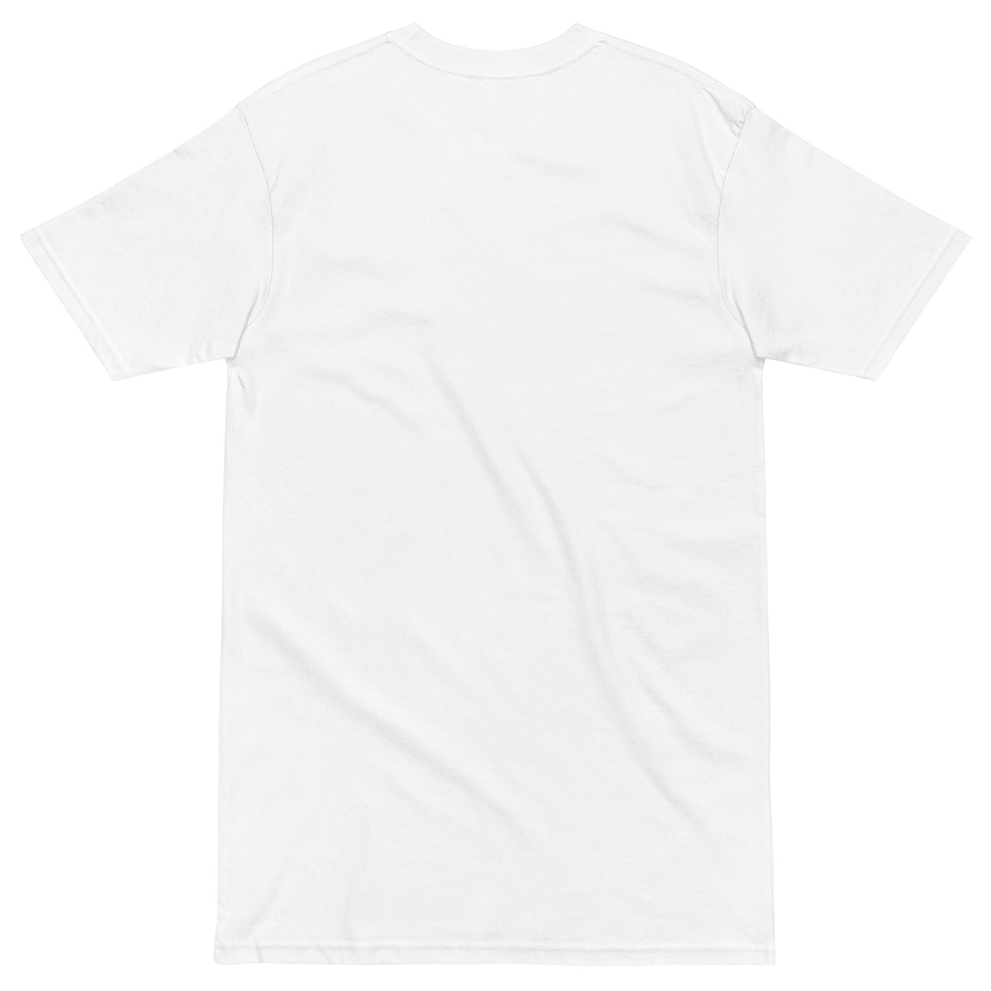 LOVE SHINES Men’s premium heavyweight tee