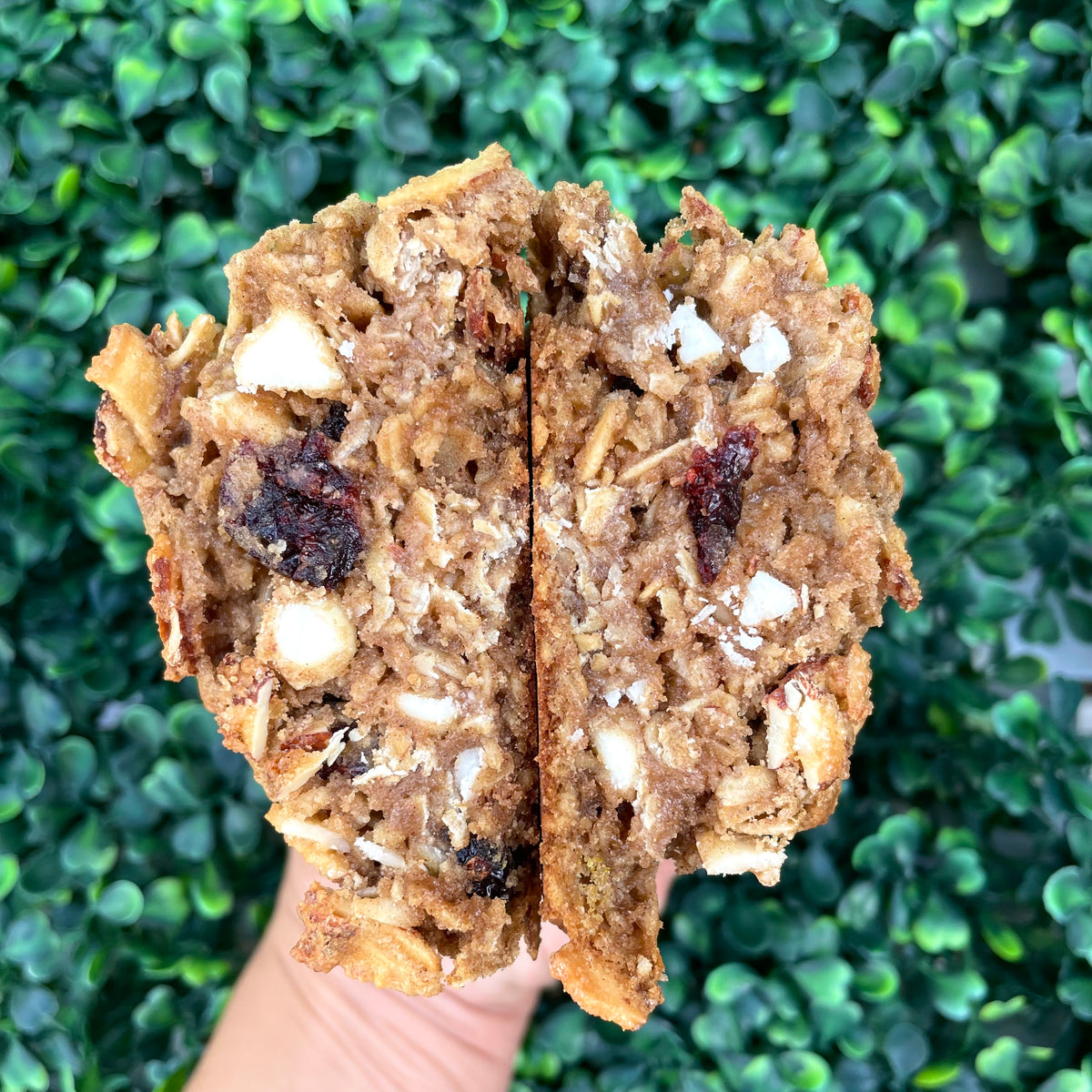 Cranberry Oatmeal  White Chocolate Chip