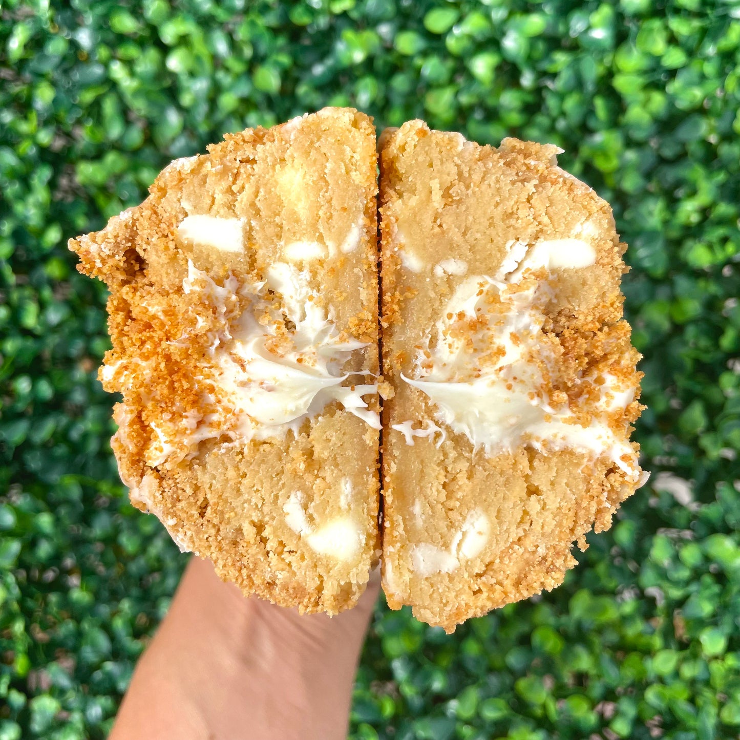 It Ain't Easy Being Florida Man's Key Lime Pie